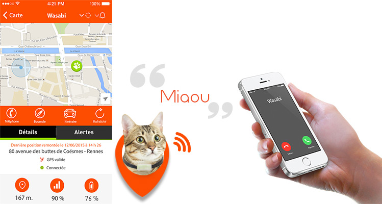 weenect-gps-pour-chat